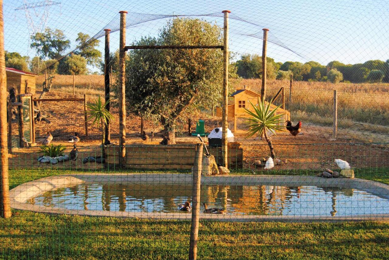 Villa Monte D'Vagar By Estilo Lusitano, Com Piscina Privada à Grândola Extérieur photo